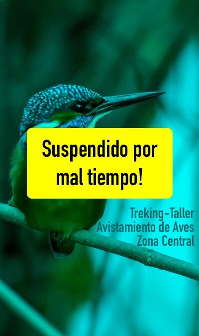 Taller Avistamiento de Aves: Pronto nuevas fechas